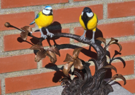 TAK MET PIMPELMEES EN KOOLMEES