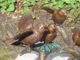 5 VOGELS OP EEN TAK