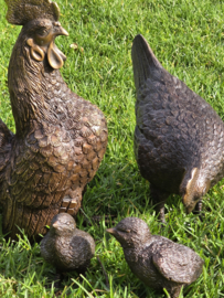 HAAN EN HEN MET 2 KUIKENS