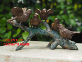 5 VOGELS OP EEN TAK