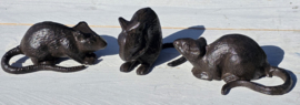 3 MUIZEN