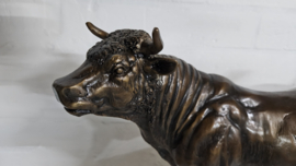 STIER