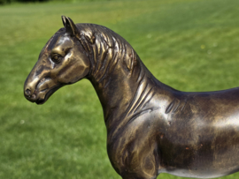 FRIES PAARD