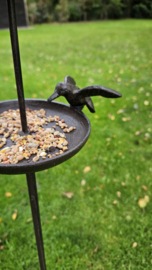 VOGELSCHAAL MET DAK