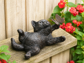 KITTEN SPELEND MET VLINDER