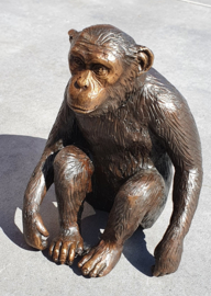 CHIMPANSEE