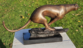 JACHTLUIPAARD / CHEETAH