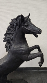 STEIGEREND PAARD