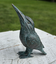 IJSVOGEL