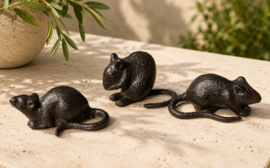 3 MUIZEN