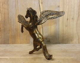 PEGASUS