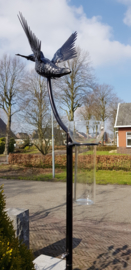 IJSVOGEL RVS