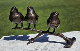 3 VOGELS OP TAK
