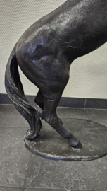 STEIGEREND PAARD
