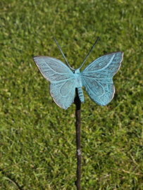 BRONZEN VLINDER
