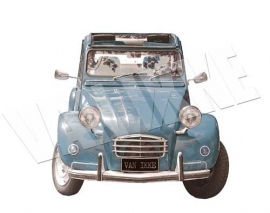 Deux chevaux blauw