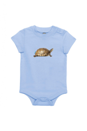 Schildkröte XS
