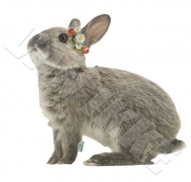 Kaninchen mit Blümchen XS