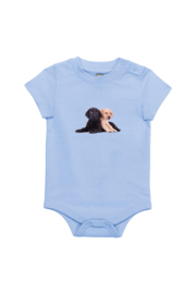 2 Labradorwelpen XS