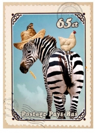 Postkarten Zebra mit Huhn