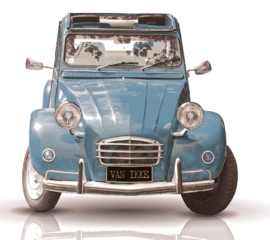 Blaue Ente