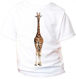 Giraf op safari