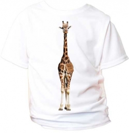 Wall decal Giraffe on safari