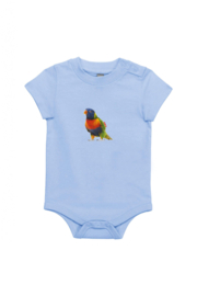 Regenbogenvogel XS