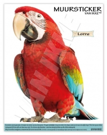 Wall Decal Lorre (Parrot)