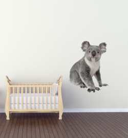 Sticker mural koala