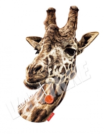 Giraffe  mit Lutscher