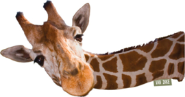 Giraffe 3
