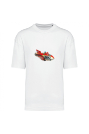 Flugzeug Zinn