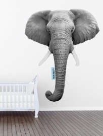 Wall decal Elephant