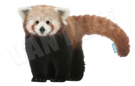 Red Panda