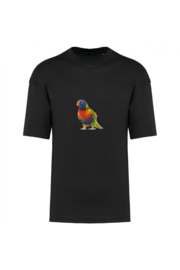 Regenbogenvogel