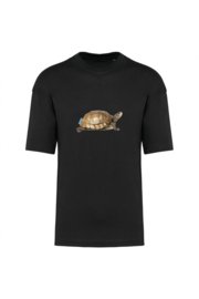 Schildkröte