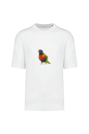 Regenbogenvogel