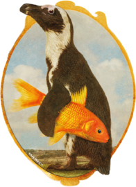 Pinguin mit Fisch