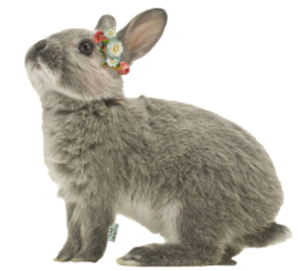 Kaninchen mit Blümchen