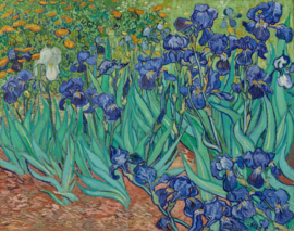 Bügelbild Violette Iris – Vincent van Gogh