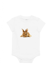 Kaninchen XS