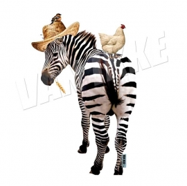 Zebra mit Huhn