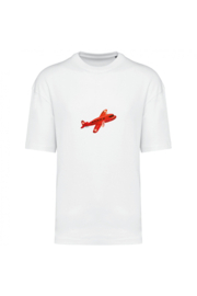 Rotes Flugzeug