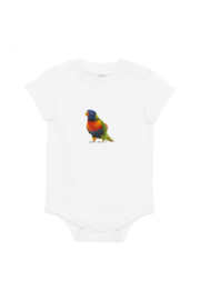 Regenbogenvogel XS