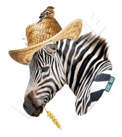 Zebra mit Kornähre