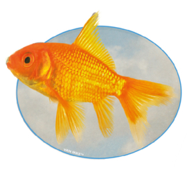 Fisch