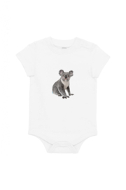 Koala XS