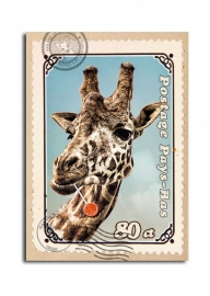 Postkarten Giraffe