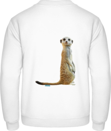Erdmännchen